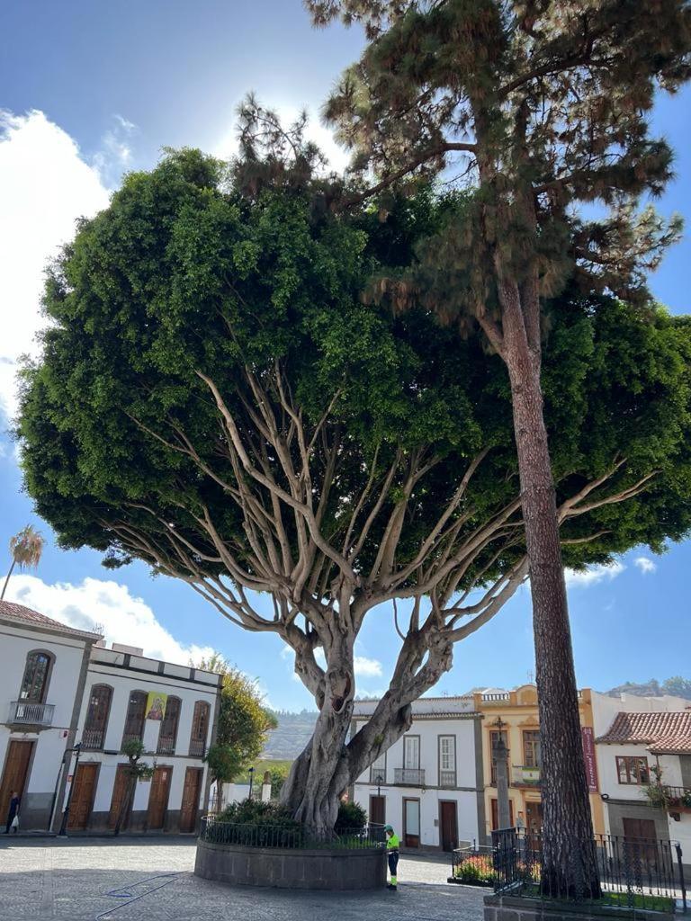 Casa En Teror Centrica Turismo De Ciudad Y Bosques 아파트 외부 사진